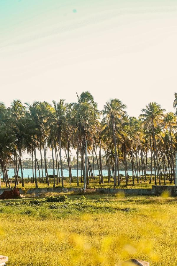 Casa Seriguela - Praia Do Patacho - Rota Ecologica Dos Milagres Pôrto de Pedras Eksteriør billede