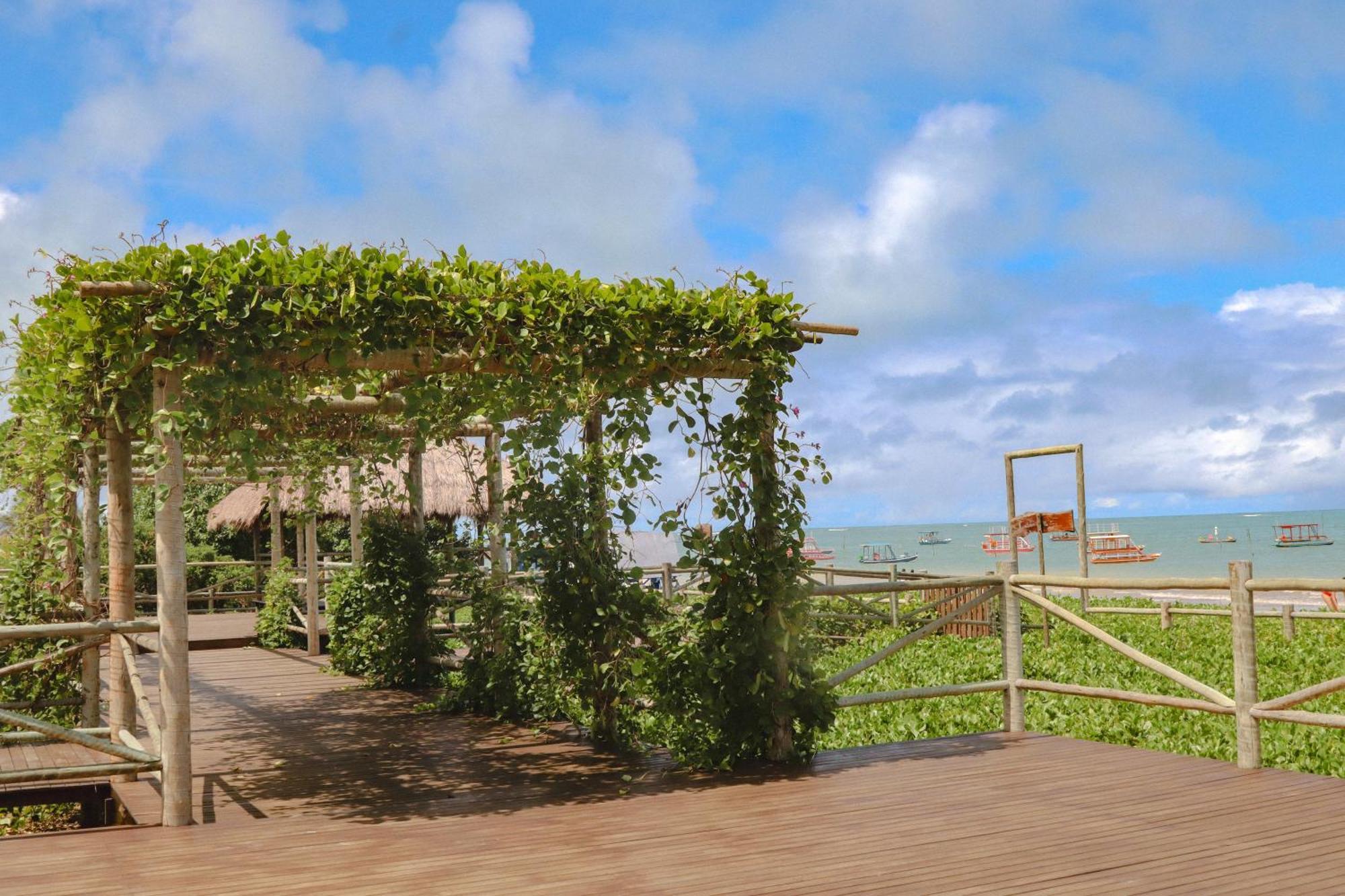 Casa Seriguela - Praia Do Patacho - Rota Ecologica Dos Milagres Pôrto de Pedras Eksteriør billede